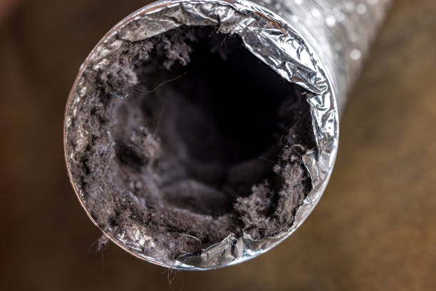 Best Commercial HVAC Duct Cleaning  in Arcadia, WI