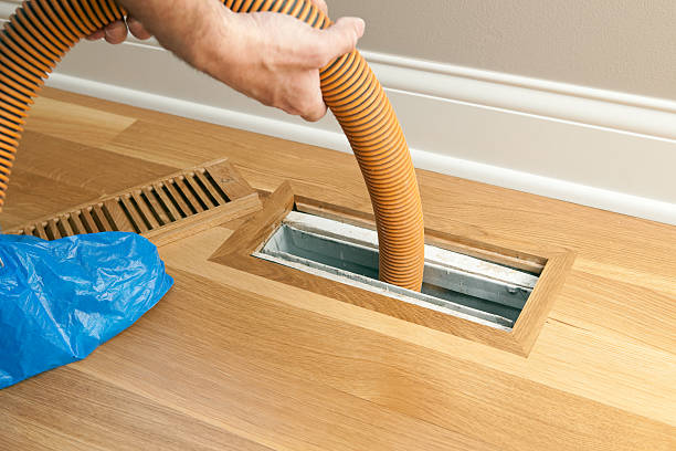 Best Home Air Vent Cleaning  in Arcadia, WI